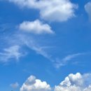 강릉농협정동지점 이미지