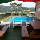 퍼피프렌즈 이미지