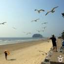 태안반도영농조합법인 이미지