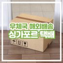적중면 | 우체국 해외배송 대행서비스로 싱가포르 택배 받기 / 가격 운송기간 정보