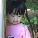에이스어린이집 네이버블로그
