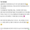 주르제이 이미지