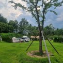 패밀리파크 캠핑장 | 예천 패밀리파크 캠핑장 이용안내&amp;후기