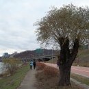 광진정보도서관 이미지