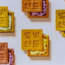 샌드베어 이미지