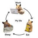 송죽초밥식당 | 알려드릴게요 근황에대해 나에대해