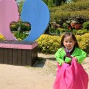 양지한복 이미지