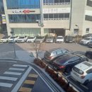 버거킹 양산물금DT점 | 양산 물금 스타벅스 양산물금 DT점 분위기 좋은 카페 후기