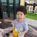 리치망고협제점