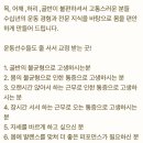 김봉주한의원 네이버블로그