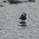 미리내캠프 이미지