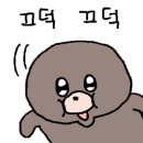 주성농장 이미지