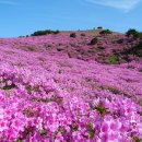 산청은 한번 가 볼만한 곳이 많이 있습니다. 이미지