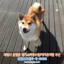 예지유치원 이미지