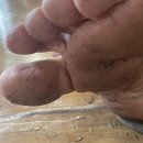 솔잎여성전용한증막 이미지