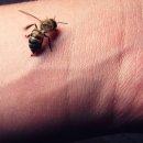 도손한의원 이미지