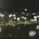 인천여자고등학교 이미지