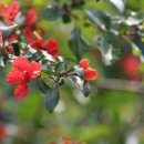 최치과의원 이미지