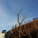 햇살농장2 이미지