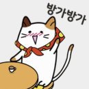 버블독 | [플레이브]버블 후기🎼 🌟5인구독🌟 버블 추천👋