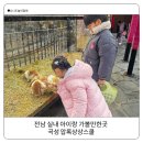 압록상상스쿨 | 곡성 압록상상스쿨 전남 아이랑 실내 가볼만한곳 동물먹이체험