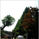 금어로1 이미지