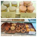 클로버. (clover)37 이미지