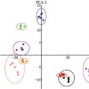 주식회사 와이케이테크 이미지