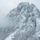 침묵속에피어나는우리 이미지