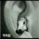 드립 Daum카페