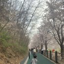 노작공원(오산천변) 이미지