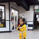 리라태권도 이미지