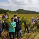 군내북초등학교 이미지