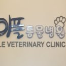 이플동물병원 이미지