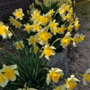 삼마전기 이미지