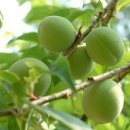 영남한의원 이미지