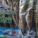 명태가 이미지