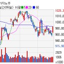 (주)마제스타 마제스타카지노 이미지