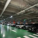 중앙-5 | 국립 중앙어린이 박물관 5세 아이와 주말 관람 후기