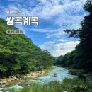 쌍곡330 | 서울 근교 당일치기 계곡 추천 : 괴산 쌍곡계곡 평상 펜션 놀거리 후기