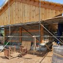 쌍림농장 이미지