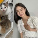 유나펫 이미지