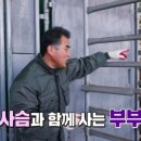 청산사슴농장 이미지