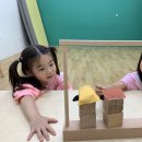 Pinocchio-6 이미지