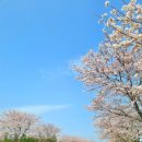 제주곶자왈별장 이미지