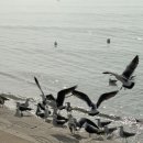 CU고창구시포점 이미지