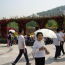 조선대학교 장미원 이미지