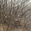 양양부부합창잔 | 2월3주 / 강원도 양양 홍천 갔다가 쑥뜸 한 일상