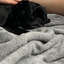 산마루 화장실 이미지