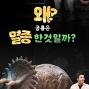 원더매직의 과학마술콘서트 공룡편 이미지